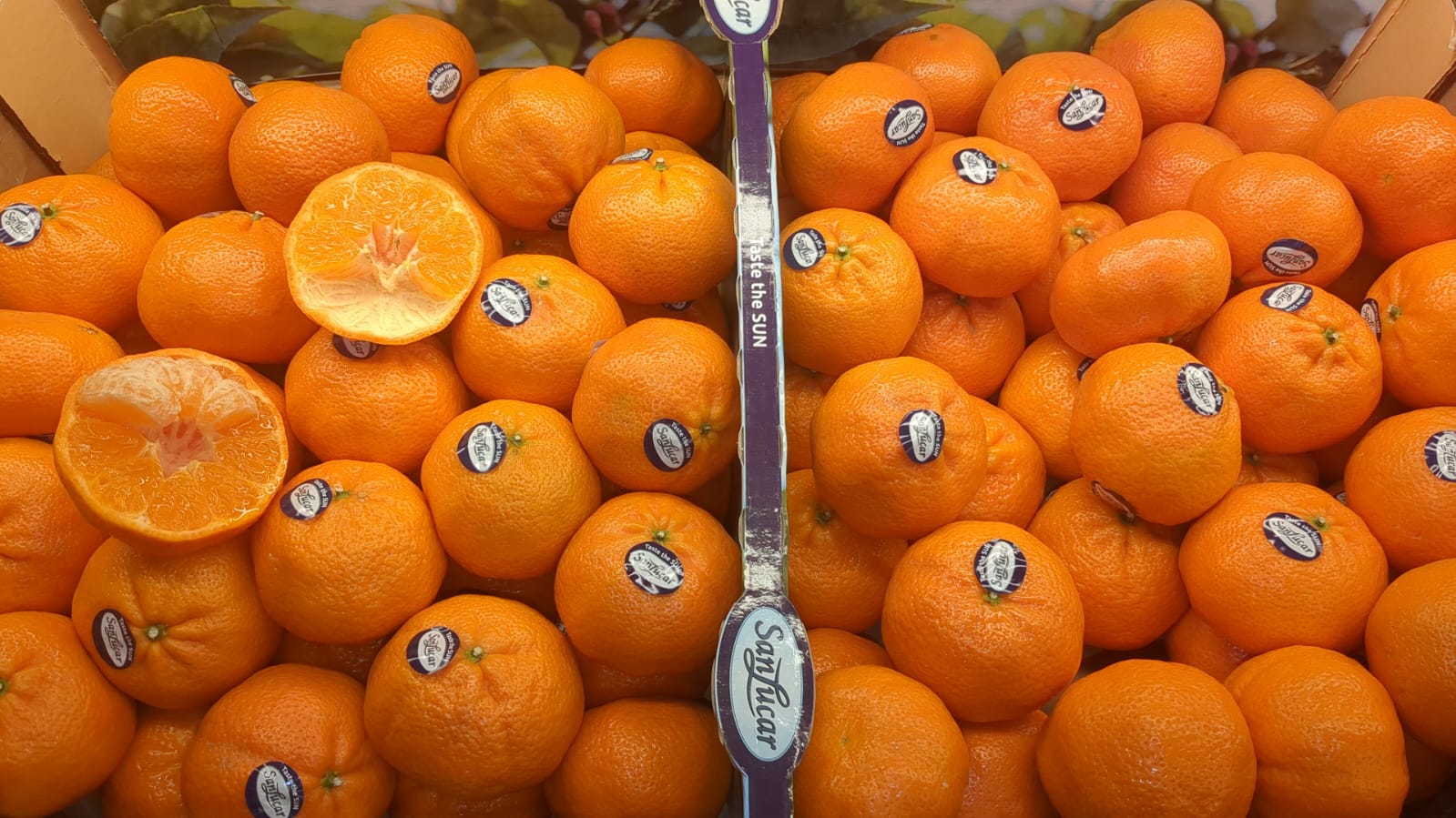 Orangen Obst & Gemüse Geis
